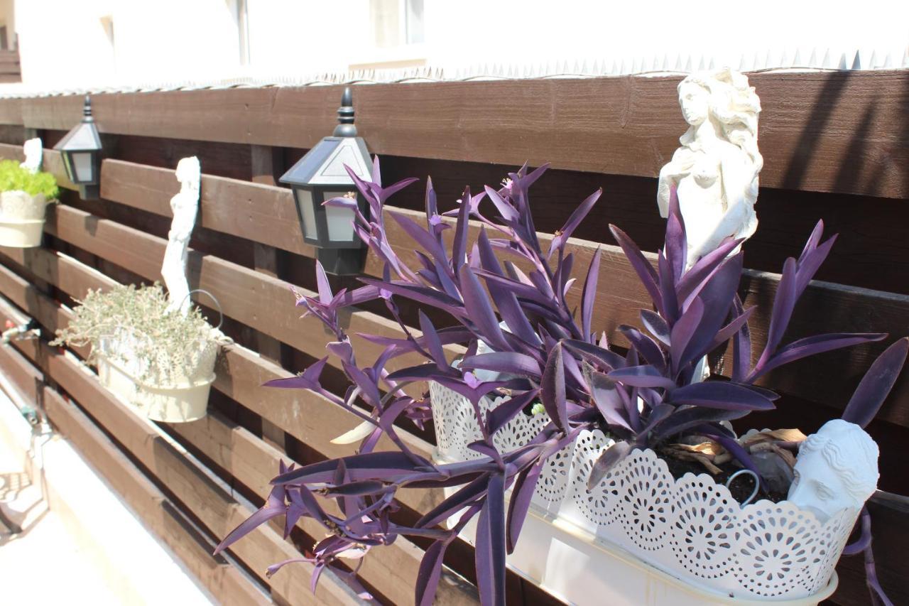 Ivoton Home بافوس المظهر الخارجي الصورة